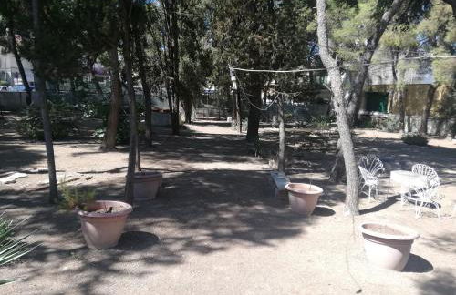 Wild Paradise - Foto 9