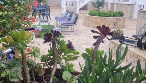 La Llar de Laura - Foto 3, Garden, sunbed, Garden view