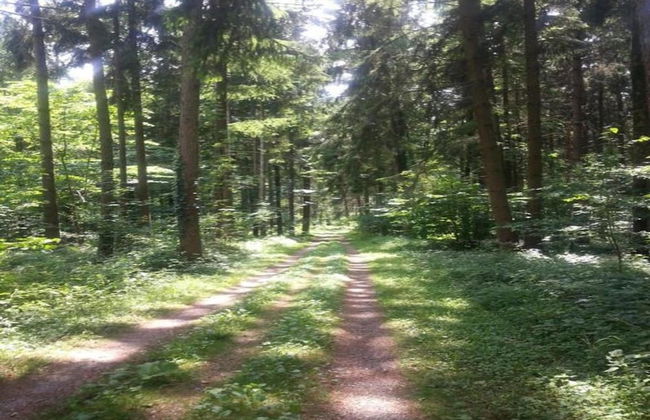 Apartment in Markdorf Near Town Center - Foto 40