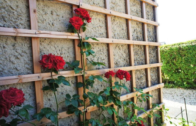 Fantastic 2 Bedroom, Spacious and Great Location! - Photo 29