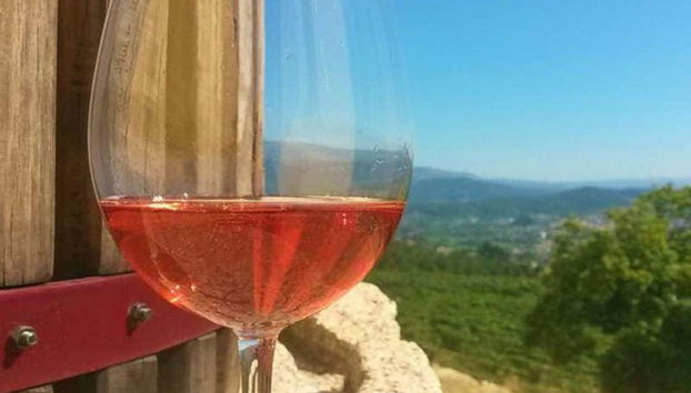 Enjoying Portuguese wine