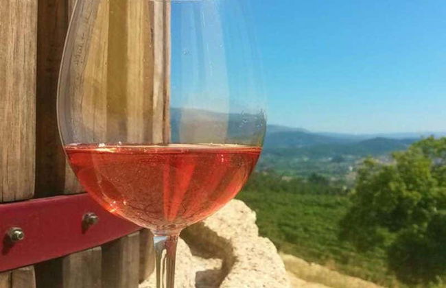 Dégustation de vin à la Quinta de Santa Cristina - Photo 4