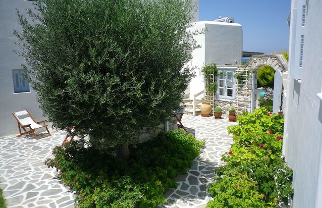 Liana Marouli - Foto 42