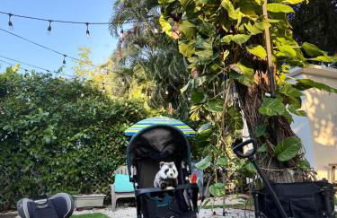 Quiet & Centrally located House - PRIVATE PARKING, LAUNDRY AND STORAGE FOR LUGGAGE - Foto 39