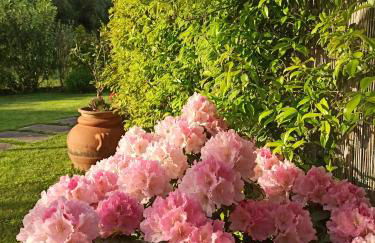 Amaryllis Case Vacanza - Photo 42