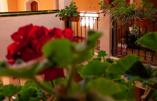 Apartamentos Shoal - Foto 27