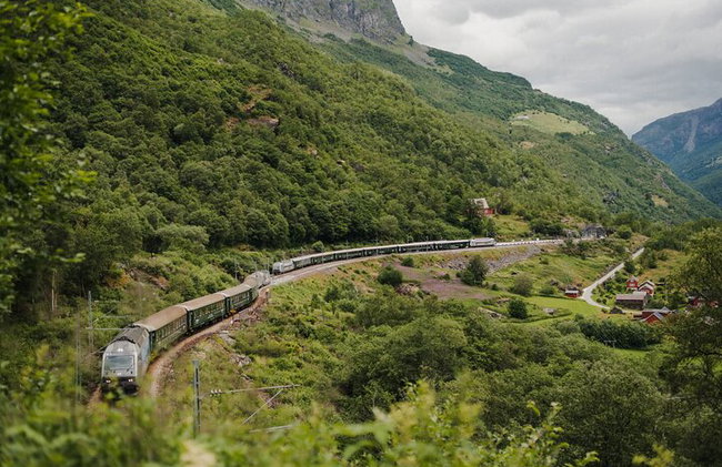 Ferrovia Flam, crociera Nærøyfjorden e punto panoramico Stegastein - Foto 15