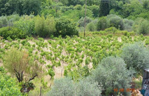 ELENI'S VILLAGE RELAXATION HOME - Photo 43