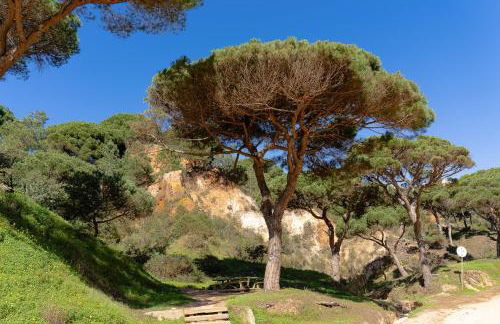 Apartament Belharucas, 400 meters from beach - Foto 65