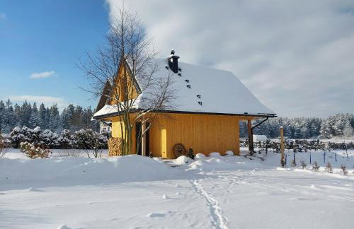 Willa Maciejka - Domek Narciarski - Foto 1