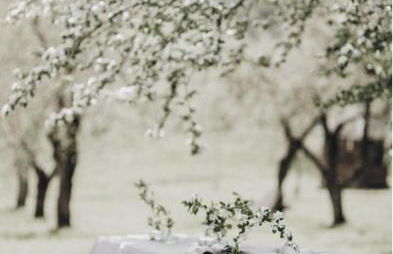 Ca' Salva Rustic Charme - Foto 25