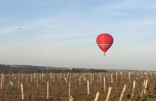 Au Coeur de la Cour - Foto 38