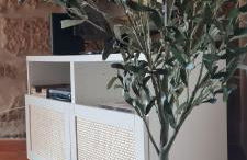 Quinta JR - Casa de campo - Foto 3