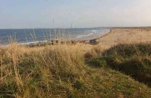 3 St Gilbert Street - Photo 43