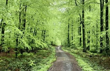 Landhaus Högelia Flensbúrger Förde - Foto 26