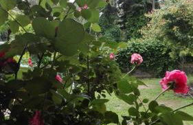 The lake, the sea, the history - Foto 13