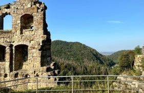 Bungalow am Nussbaum - Foto 19