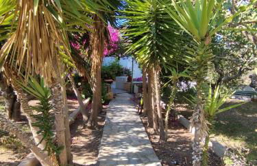 SolMar Aegina with private pool - jacuzzi - Foto 45