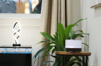 New Luxury 5BR 7BD Home Near Airport, Sleeps 10 plus - Foto 38