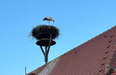 Ferienwohnung am Storchennest - Foto 62