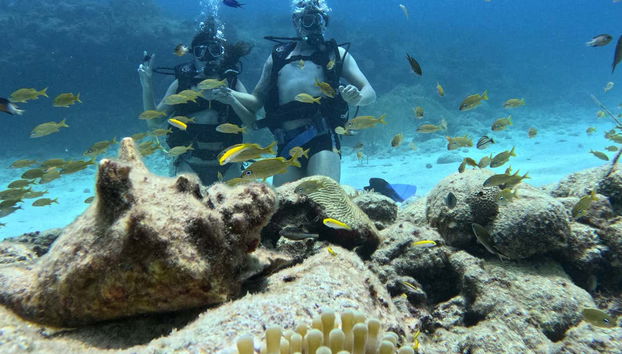 Buceando en aguas de San Andrés, Colombia