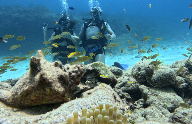 Beginners Scuba Diving in San Andrés - Foto 5