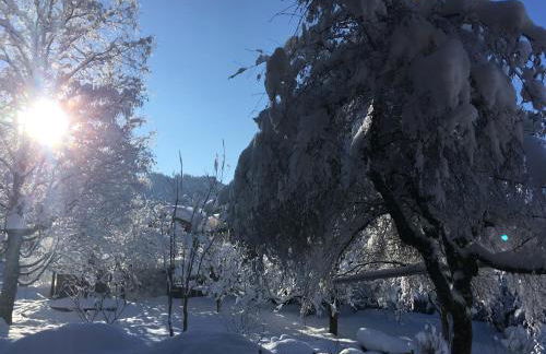 Haus Sonnenruh - Foto 25