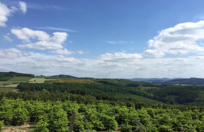 Apartment Near the ski Area in Wehrstapel - Foto 26
