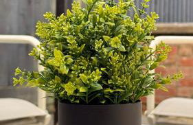 The Sandstone Stay - 5 min from Southmead Hospital - Foto 13