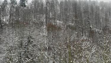 Ferienhaus Andrea am Bodetal - Foto 5