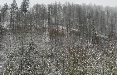 Ferienhaus Andrea am Bodetal - Foto 5