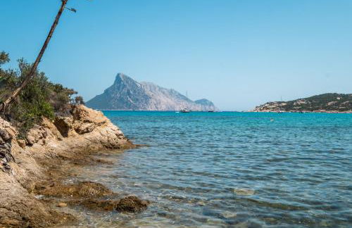 Villa La Torretta - Foto 6