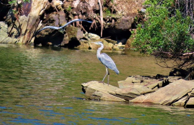 Balade en bateau sur le Tage - Photo 6