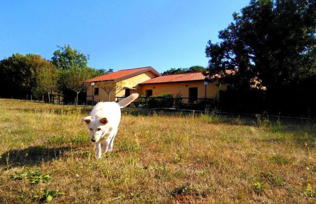 Agriturismo Radovic - Photo 8