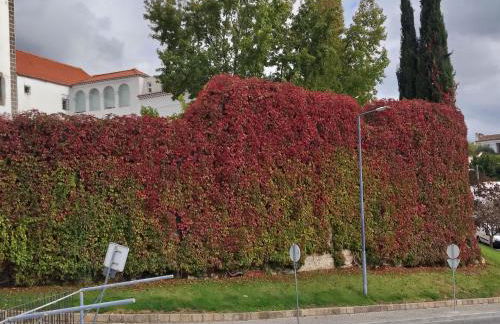 Apartment in Semeador 1 - Foto 33