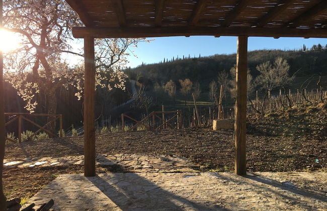 Podere Terreno alla Via della Volpaia - Foto 55