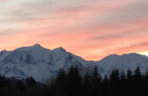 Sallanches 3101 Route de Nant Cruy immeuble le Grand R - Foto 12