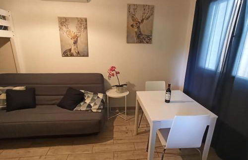 T1 cosy climatisé indépendant sur prop privée à Sanguinet - lac, océan, Bassin d'Arcachon, Dune du Pyla - Foto 11