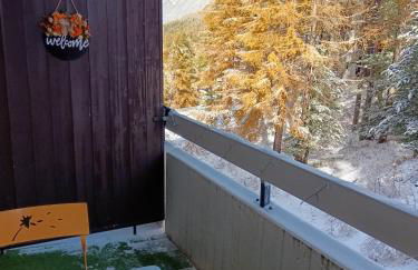 STUDIO le FOREST SKIS AUX PIEDS - Foto 10