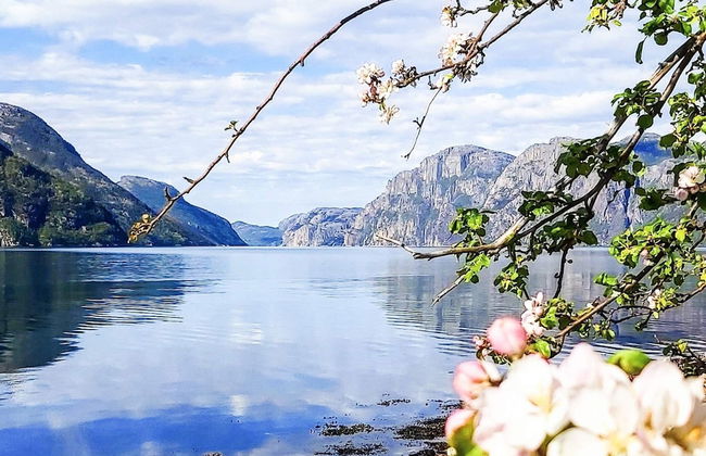 13 Person Holiday Home in Songesand - Photo 55