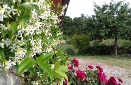 Agriturismo Valiana - Foto 48