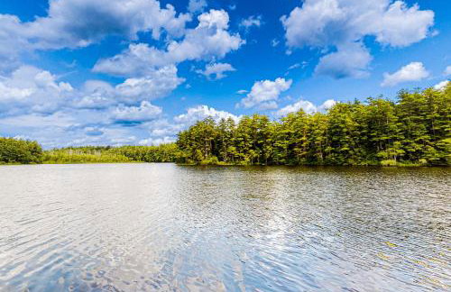 The Three Cornered Pond Retreat - Foto 5