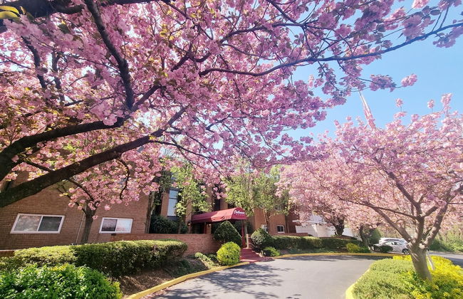 Amazing Clean Large Parking Long Term Avail - Foto 36