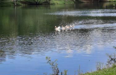 Casa Lagoa Santa oficial - Foto 28