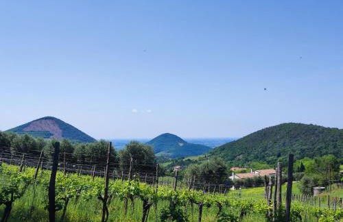 Residence Magnolia - Photo 11