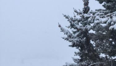 DUPLEX Les Plautus - Foto 4