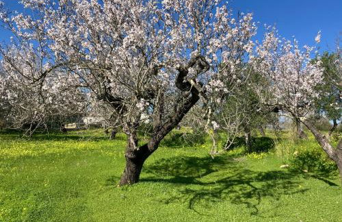 Casa Tranquila Barrada - Foto 30