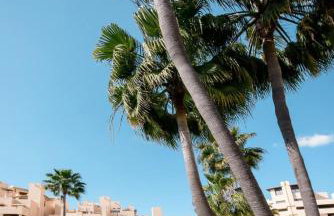 5 Stars BEACHFRONT PARADISE - Seaview, Always Heated Pool, Gym, Sauna! - Foto 23