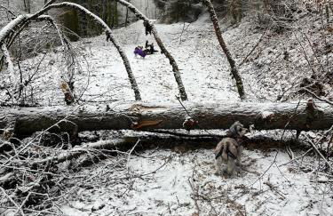 Alte Schüre - Foto 23