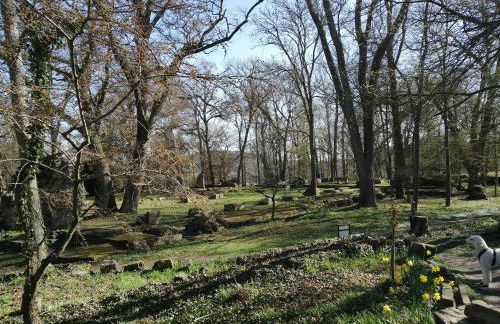 Ferienwohnung Julianna - Foto 43